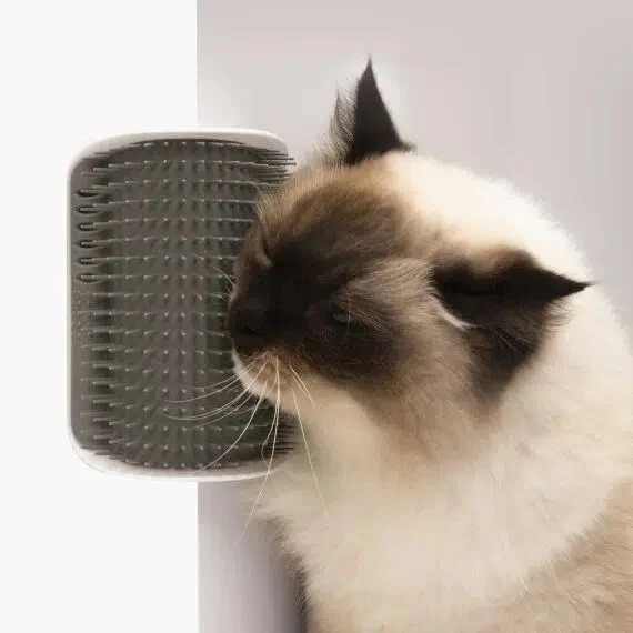 Catit - Senses 2.0 - Autotoiletteur - Chat