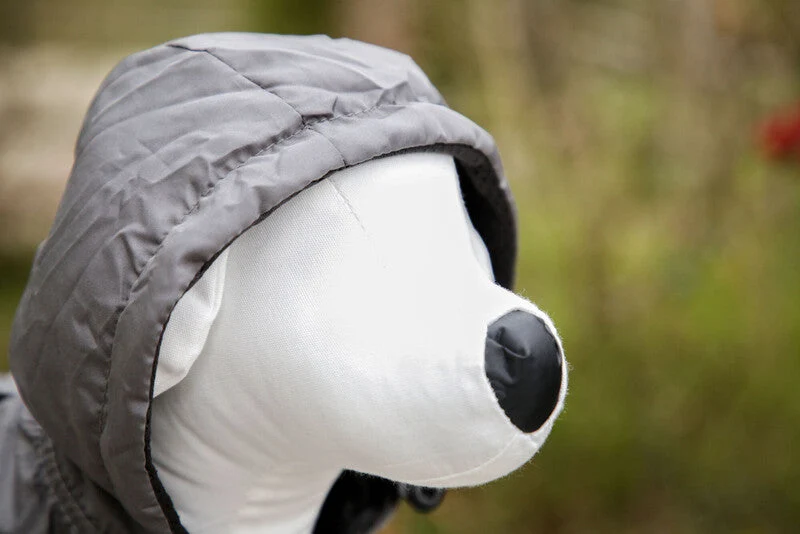 Manteau Seattle avec capuche chien
