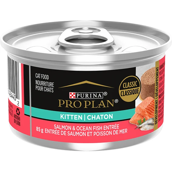Conserve Entrée de Saumon & Poisson de Mer pour Chatons