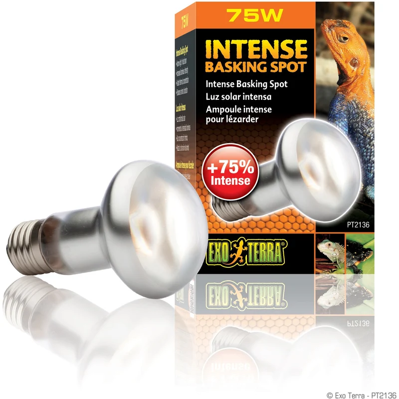 Exo Terra Sun Glo Intense Basking Spot Lamp S20 / 75W