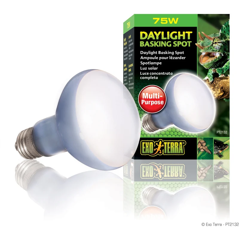 Exo Terra Daylight Basking Spot Lamp - R20 / 75 W