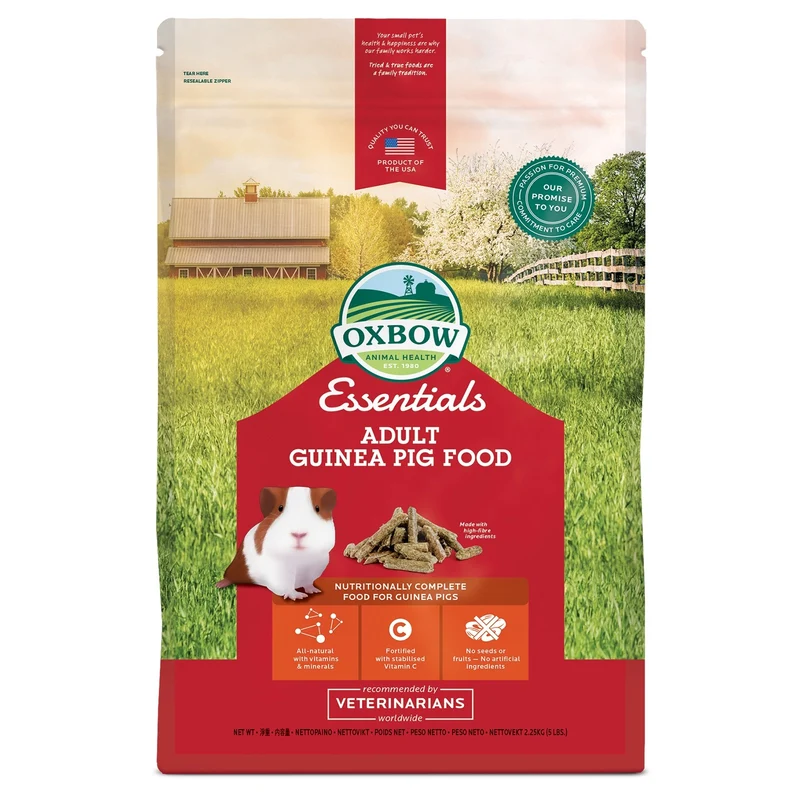 Cavy Cuisine Adulte