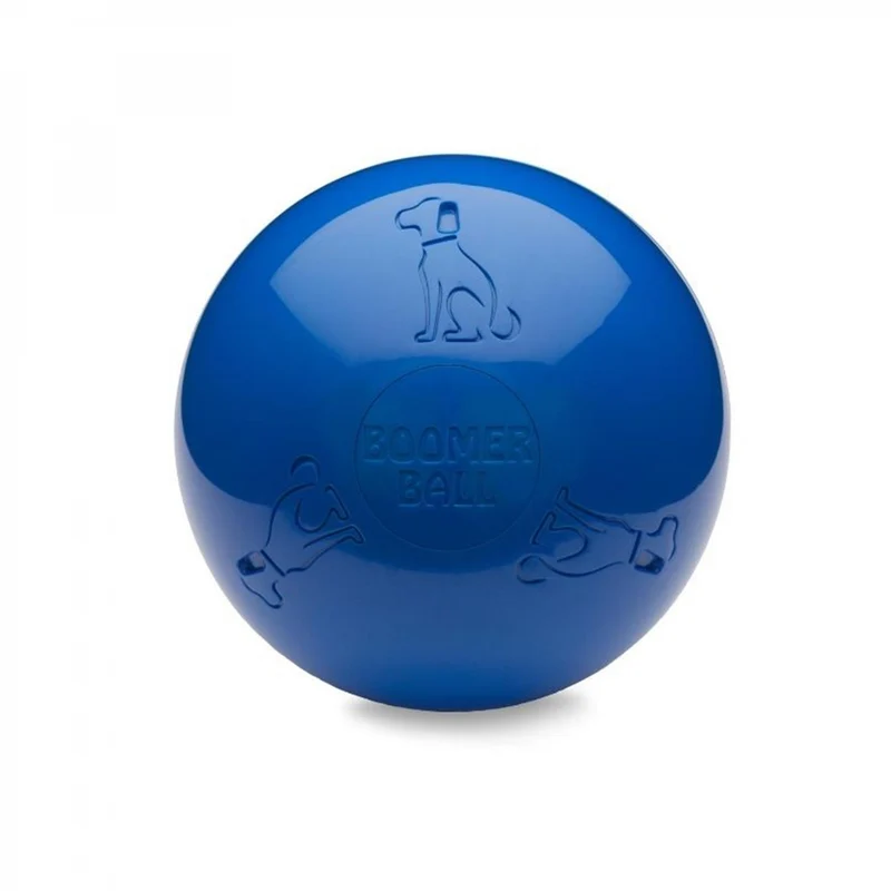 Boomer Ball chien