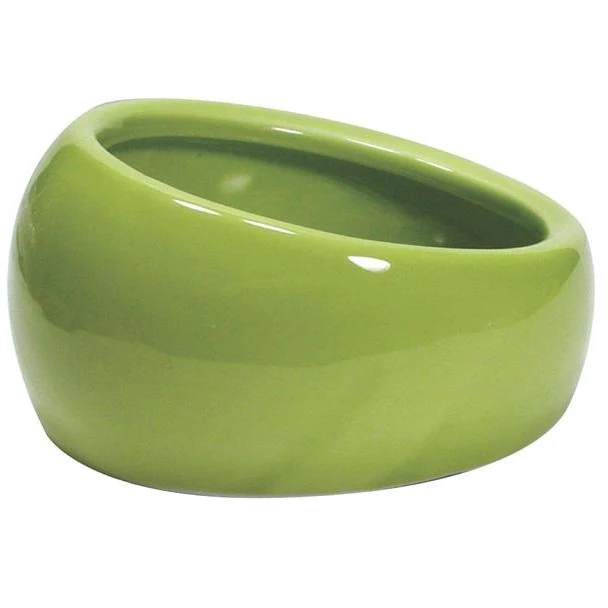 Living World Ergonomic Dish Small, 120 mL (4.22 oz) Green/Ceramic
