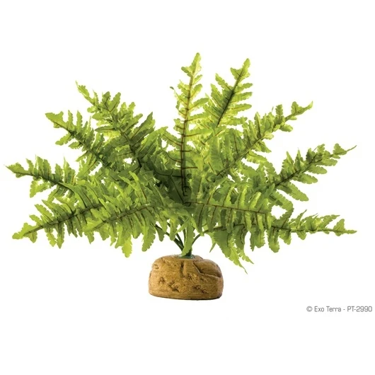 Exo Terra Rainforest Plant - Boston Fern - Small