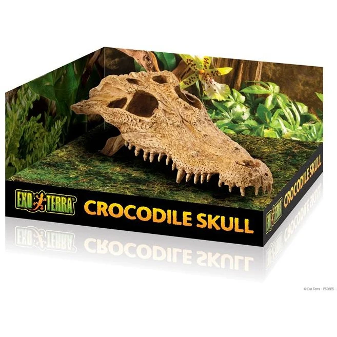 Exo Terra Crocodile Skull