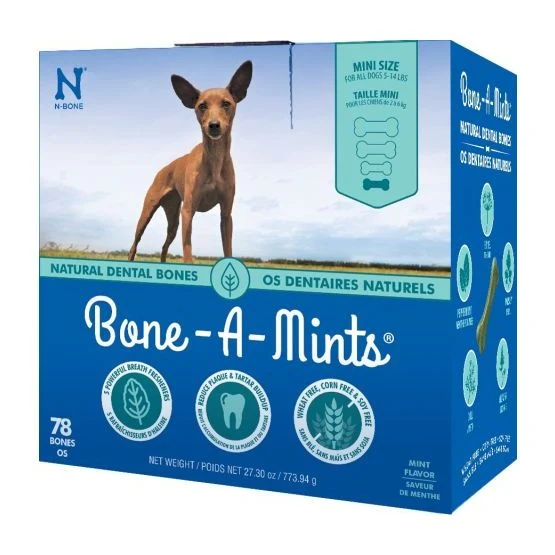 Boîte de Gâteries Dentaires Bone-A-Mints