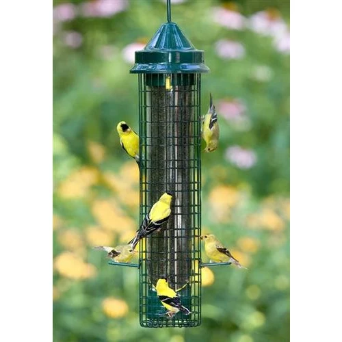 Mangeoire pour Chardonnerets Anti-Écureuil Finch Squirrel Buster