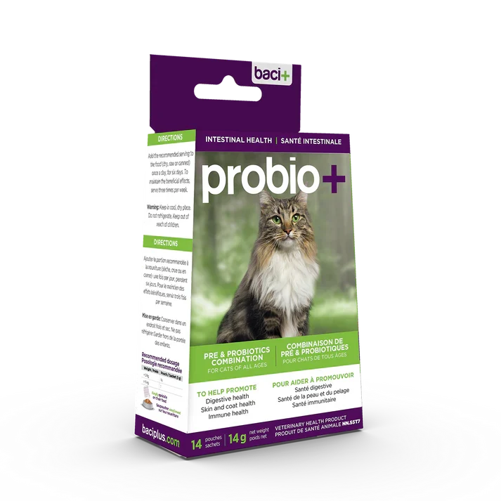 Probio+ Baci+ - Prévention et Maintien d'une Santé Intestinale Optimale