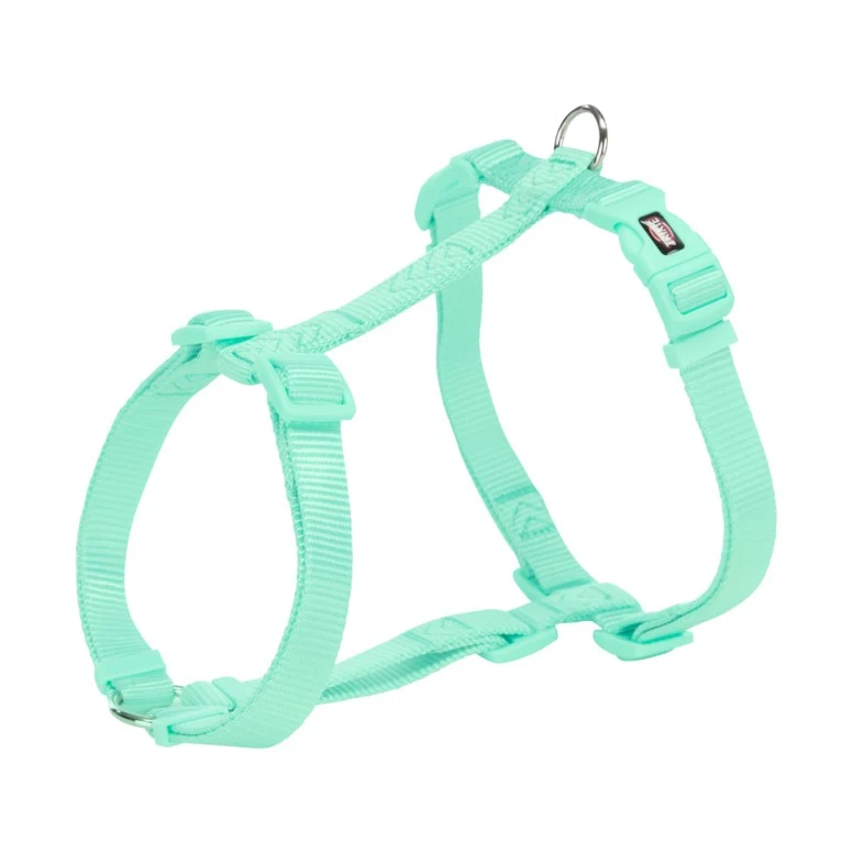Harnais Premium vert Menthe chien