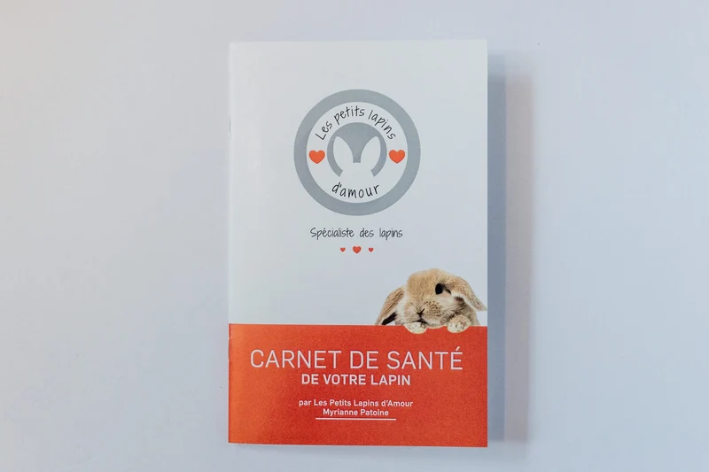 Les Petits Lapins D'Amour - Carnet de Santé - Lapin