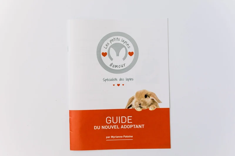 Les Petits Lapins D'Amour - Guide du Nouvel Adpotant - Lapin