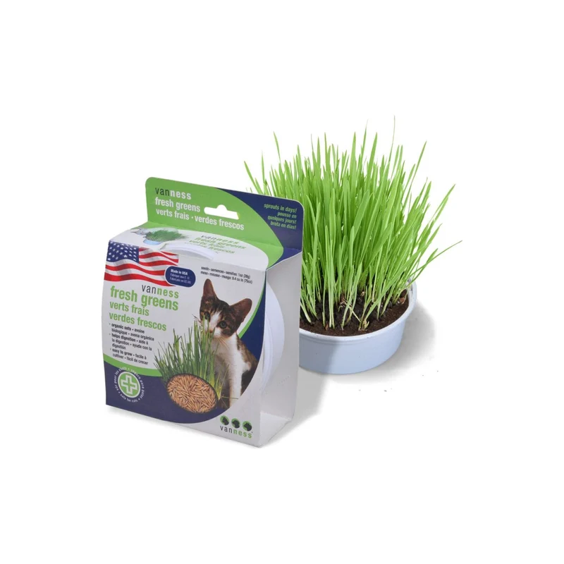 Kit de Jardin d'Avoine Van Ness