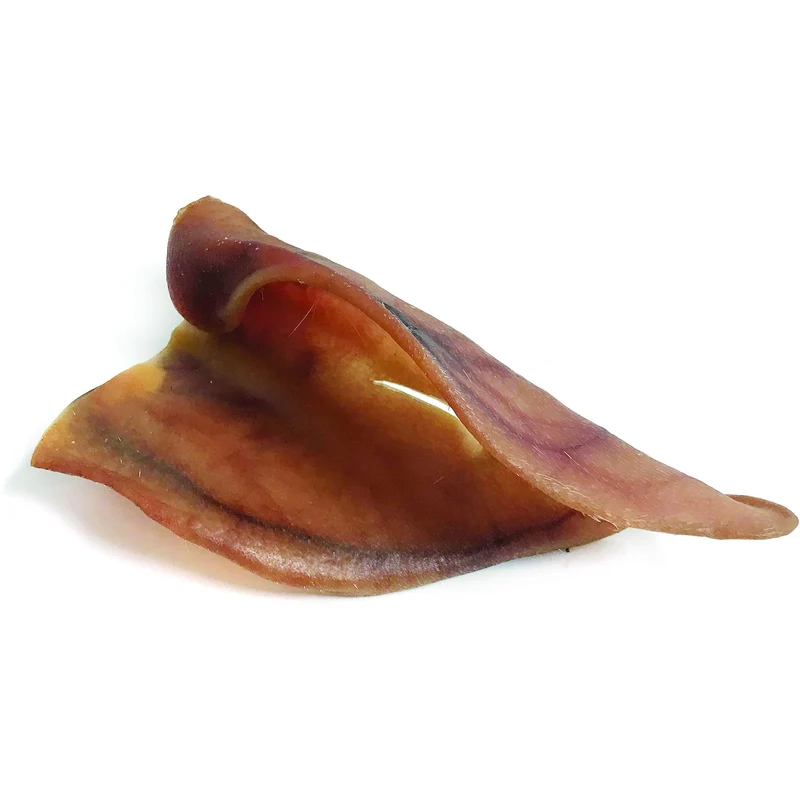 Oreille de Porc