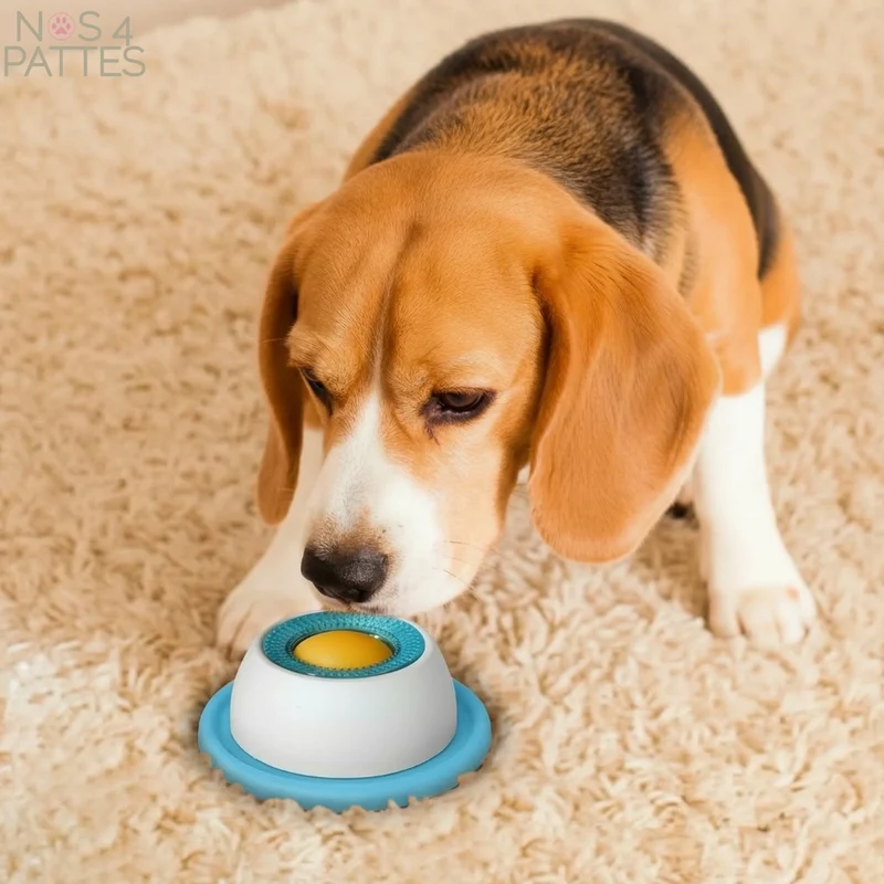Jouet à lécher pour chien et chat – Boule mangeoire anti-ennui