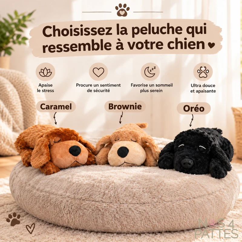 Peluche apaisante pour chiens – Confort et sécurité émotionnelle