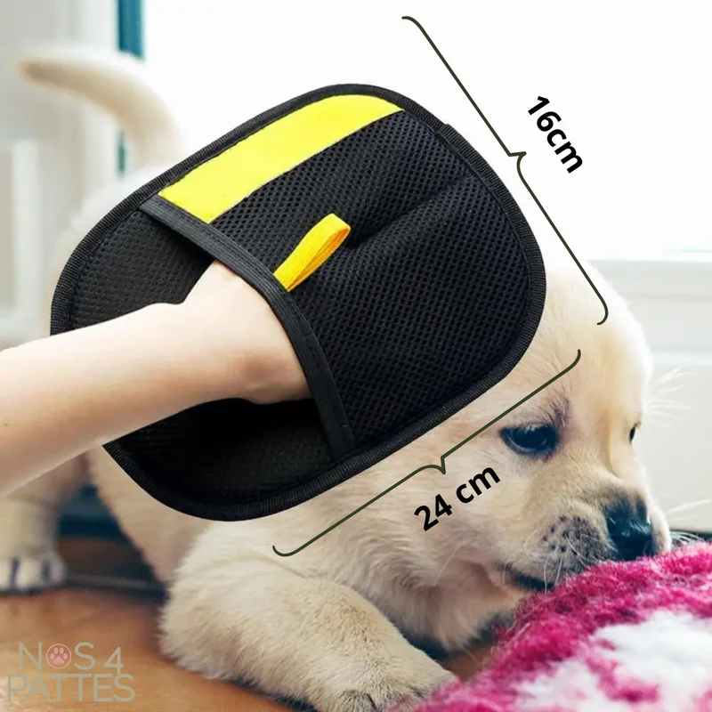 Gant anti-poils magique réutilisable pour chien & chat