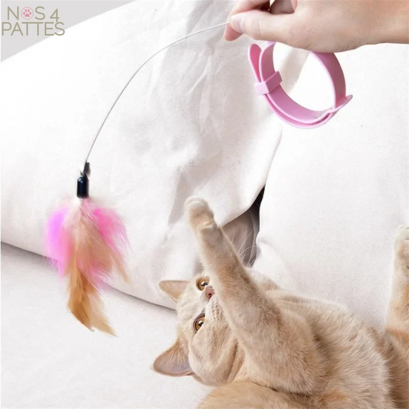 Collier pour chat avec plume interactive – Jouet autonome anti-ennui