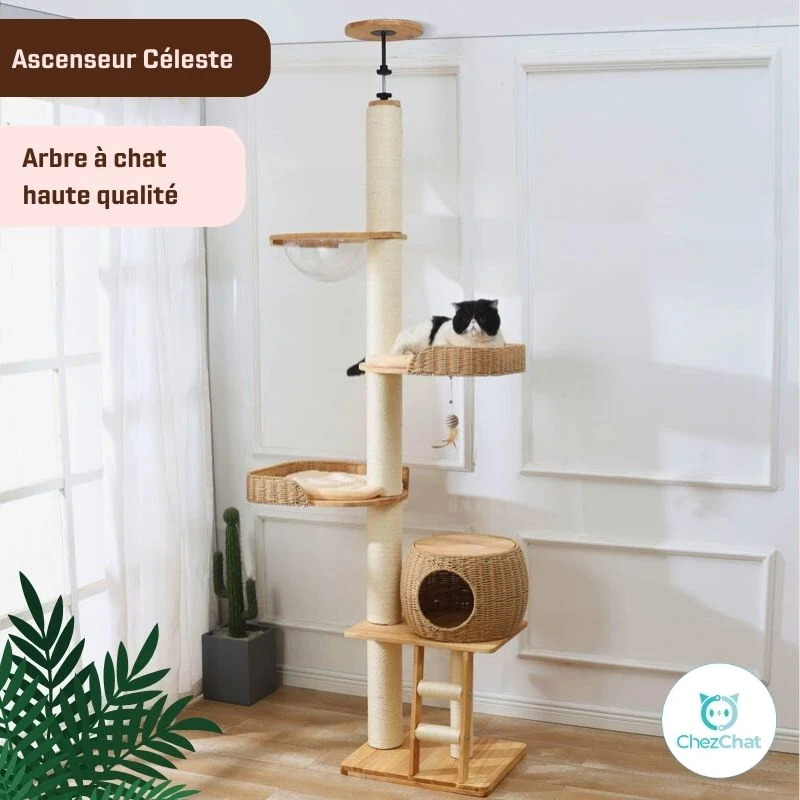 Arbre à chat - Ascenseur Céleste