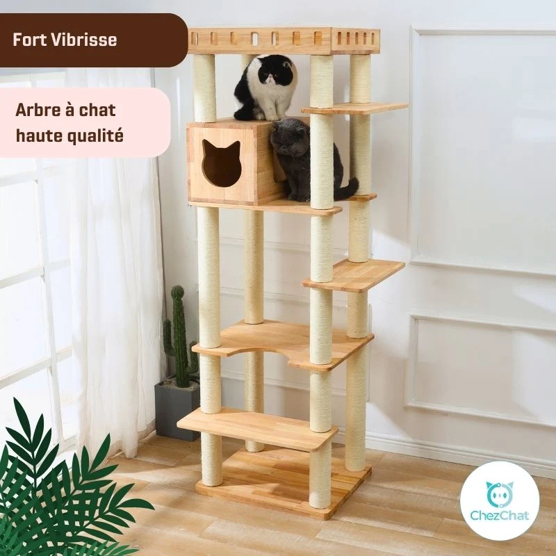 Arbre à chat - Fort Vibrisse
