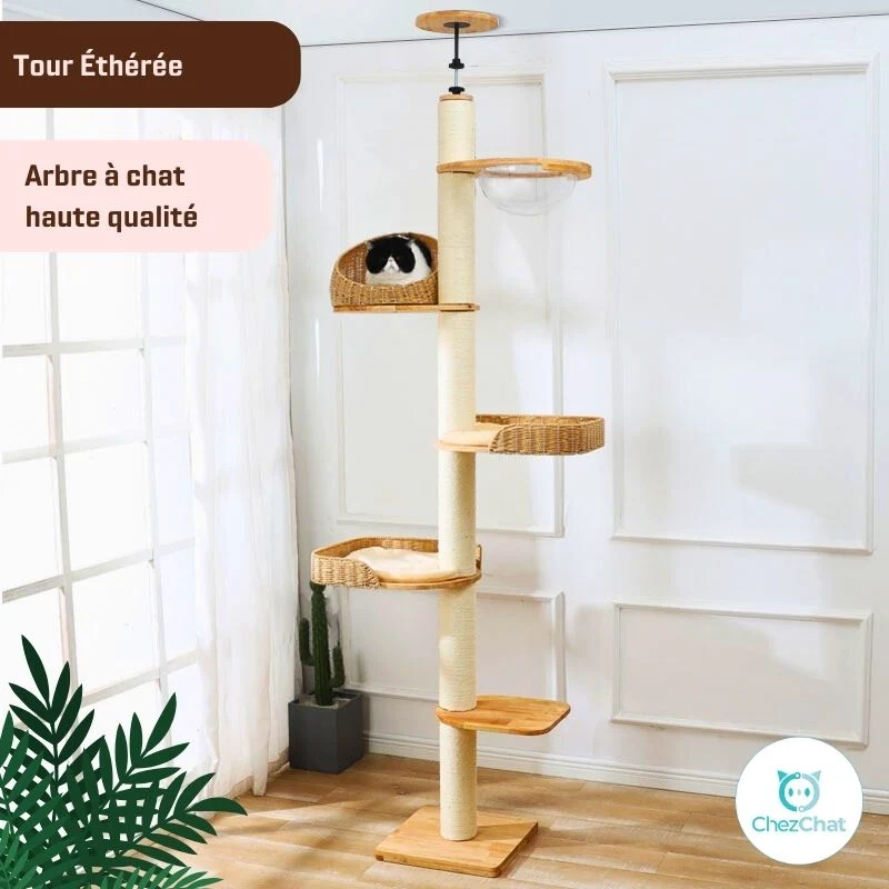 Arbre à chat - Tour Éthérée