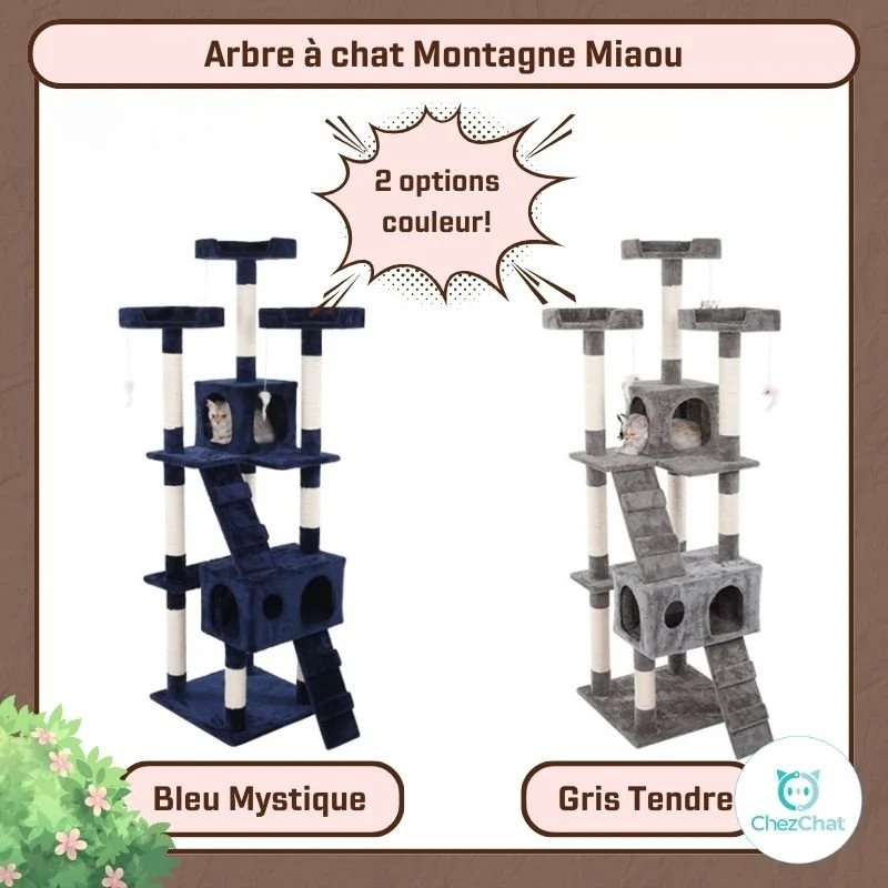 Arbre à Chat - Montagne Miaou