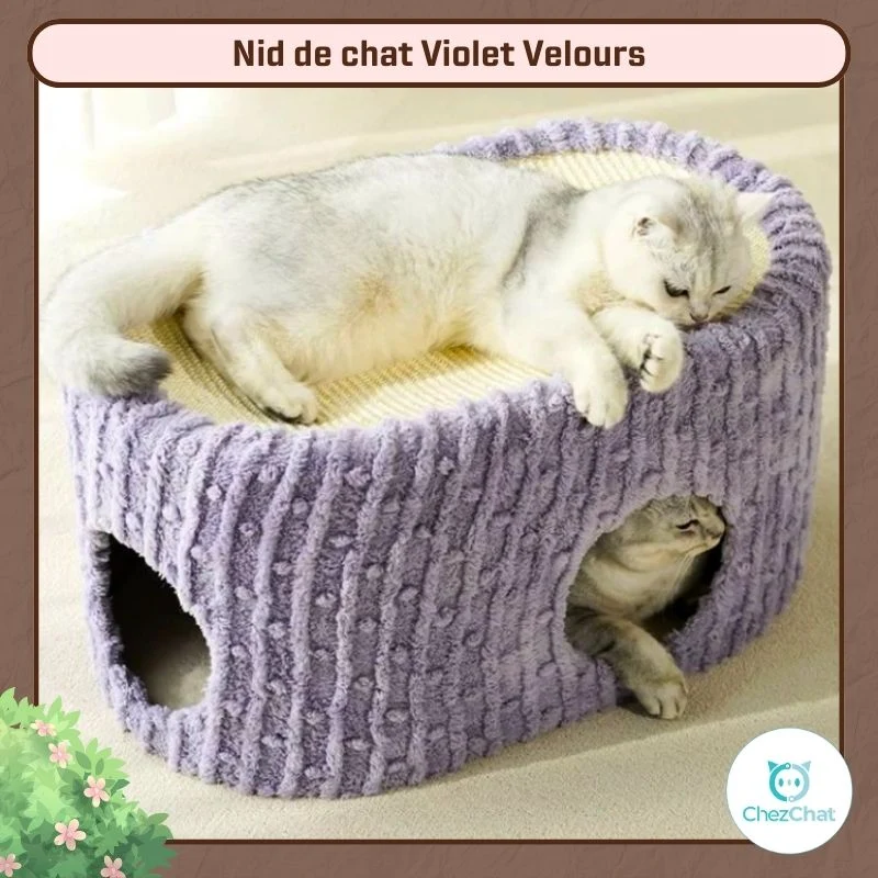 Couchage Violet Velours
