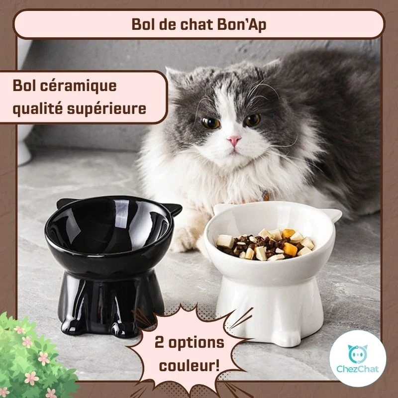 Bol de chat Bon’Ap