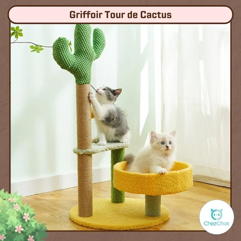 Griffoir Tour de Cactus