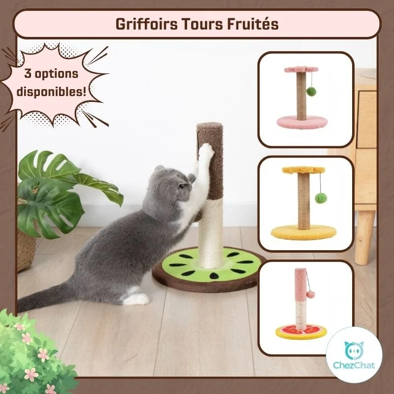 Griffoirs Tours Fruités