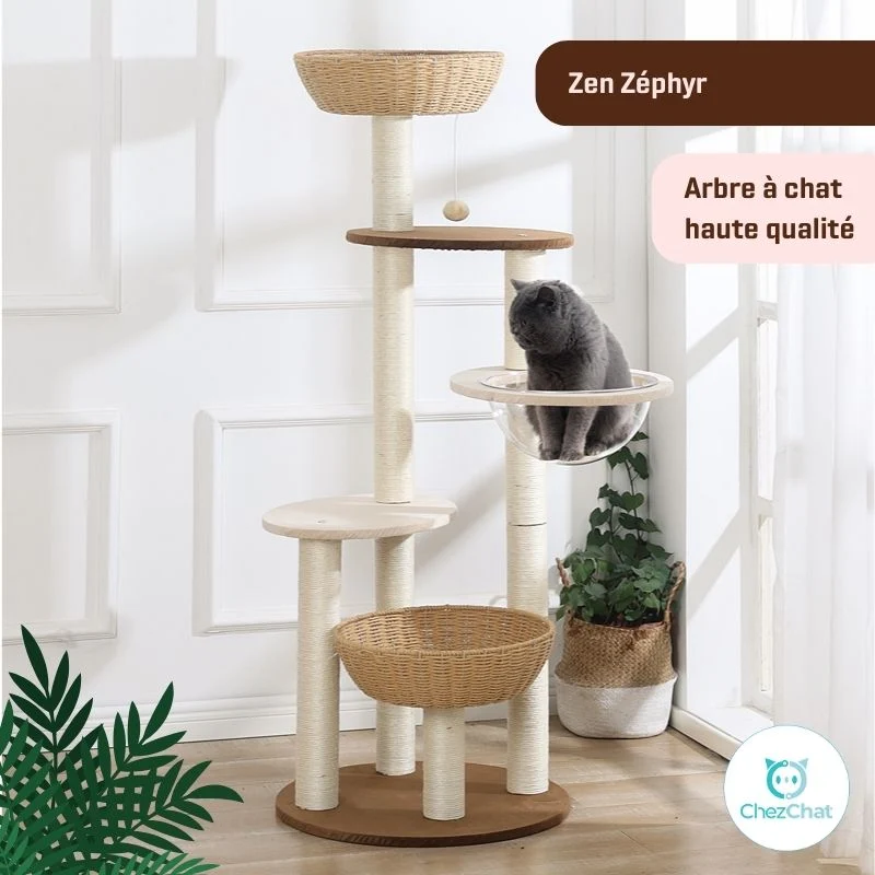 Arbre à Chat - Zen Zéphyr