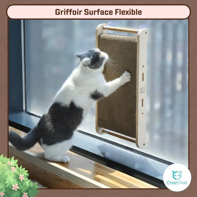 Griffoir Surface Flexible