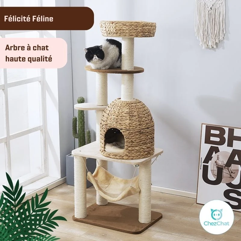 Arbre à Chat - Félicité Féline