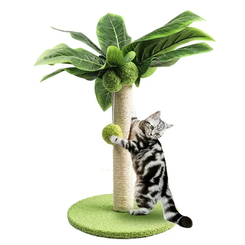Petit arbre à chat Palmier