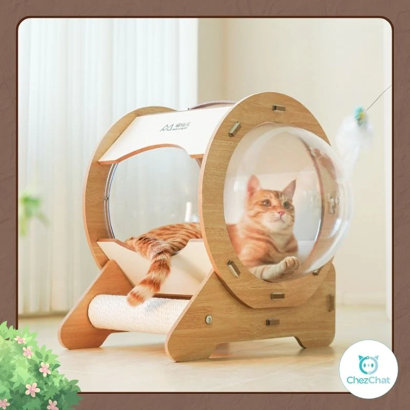 Couchage Capsule Transparent