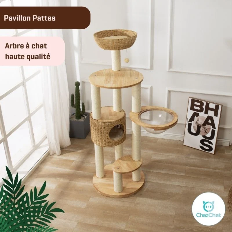 Arbre à Chat - Pavillon Pattes