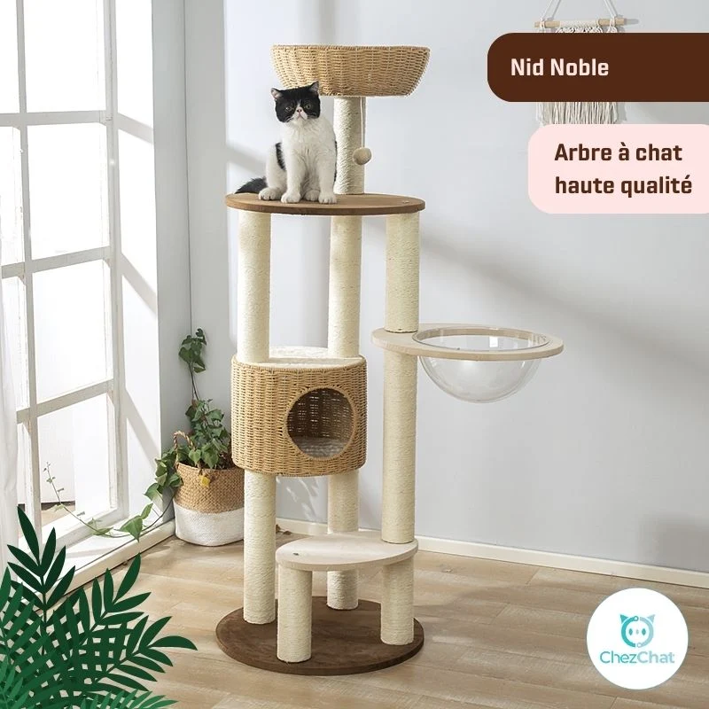 Arbre à Chat - Nid Noble