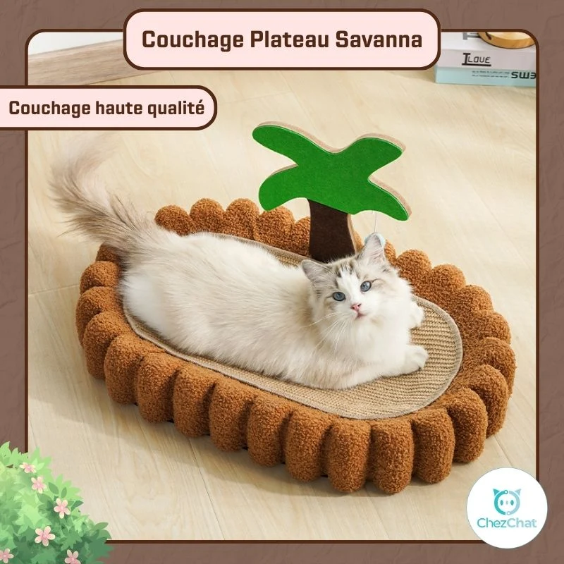 Couchage Plateau Savanna