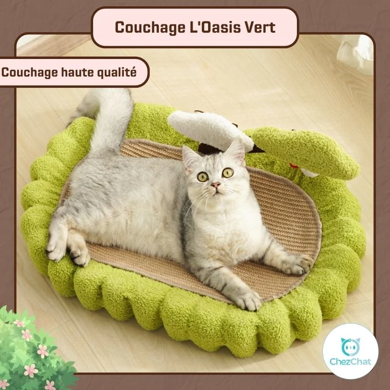 Couchage L'Oasis Vert pour chat