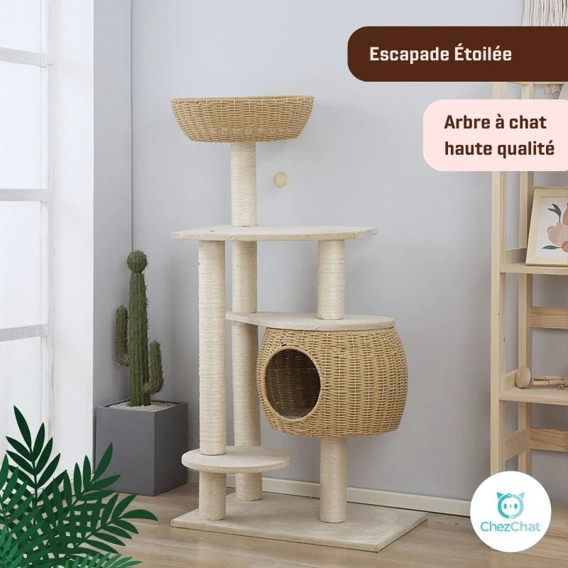 Arbre à Chat - Escapade Etoilée