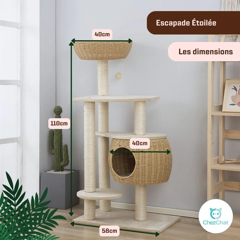 Arbre à Chat - Escapade Etoilée