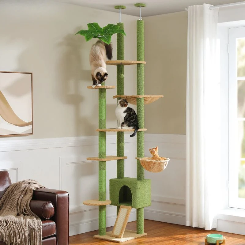 Arbre à chat plafond sans perçage - Palmier
