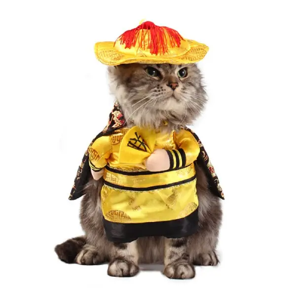 Déguisement chat dragon Empereur