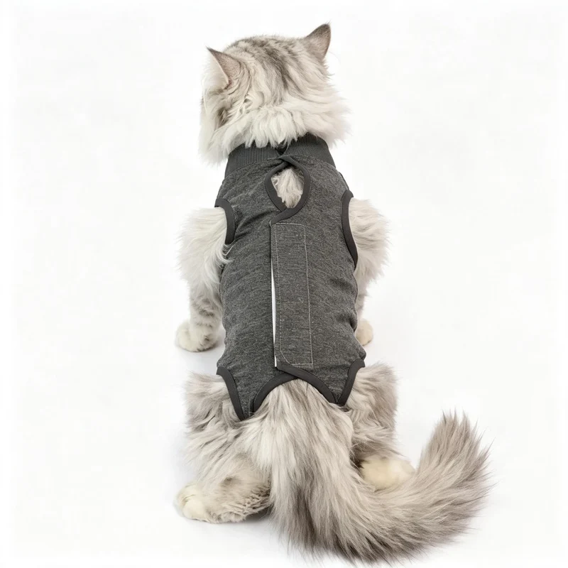 Combinaison de protection pour chat