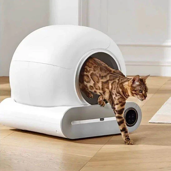Litière autonettoyante | FreshPaws