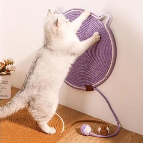 tapis chat griffoir rond