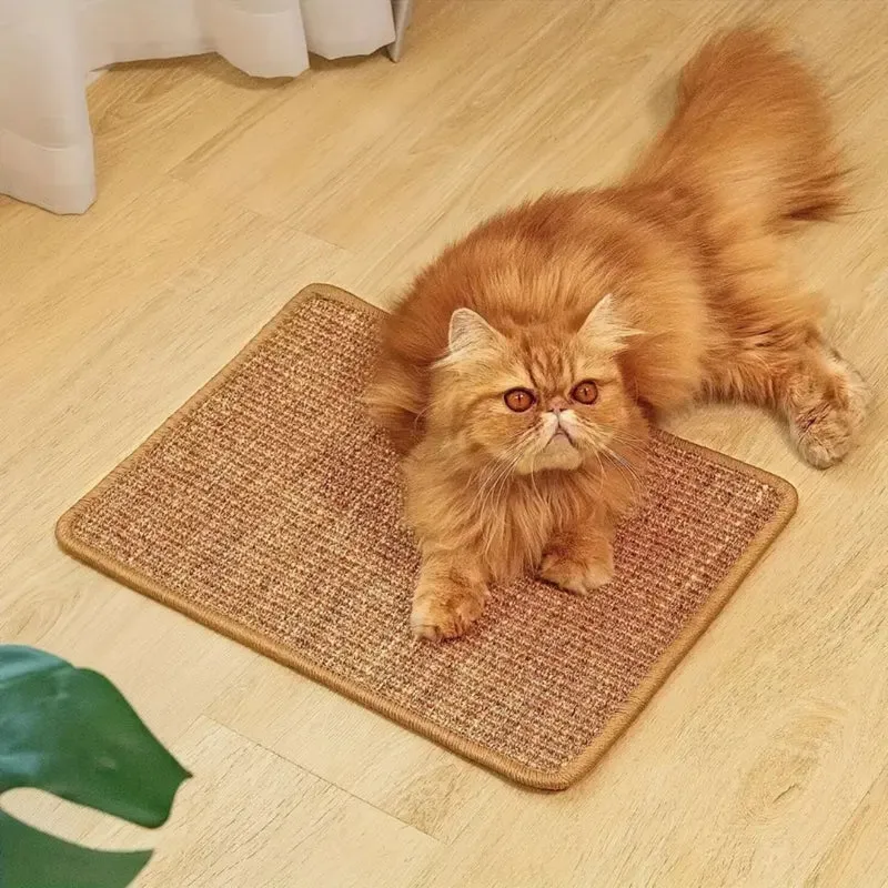 tapis chat griffoir adhésif
