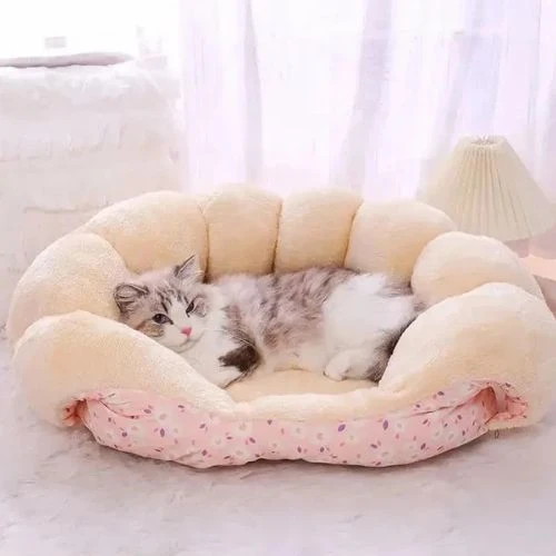 coussin pour chat 3 en 1