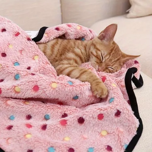 couverture pour chats douillette
