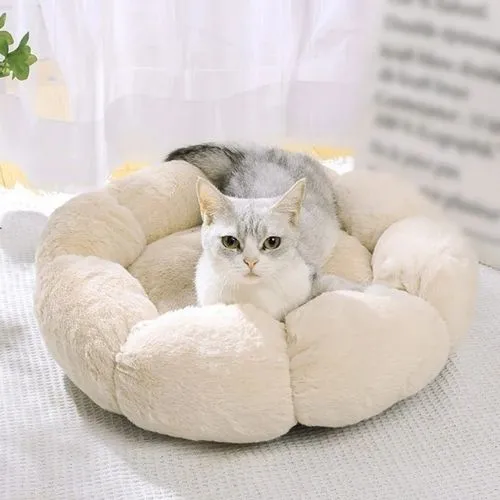 coussin chat fleur